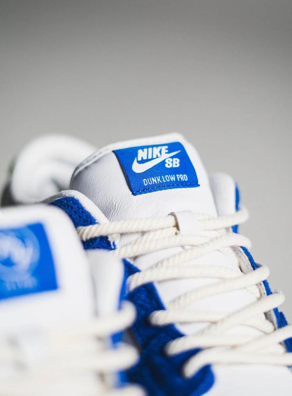 Nike SB Dunk Low Pro Fly Streetwear “Gardenia”