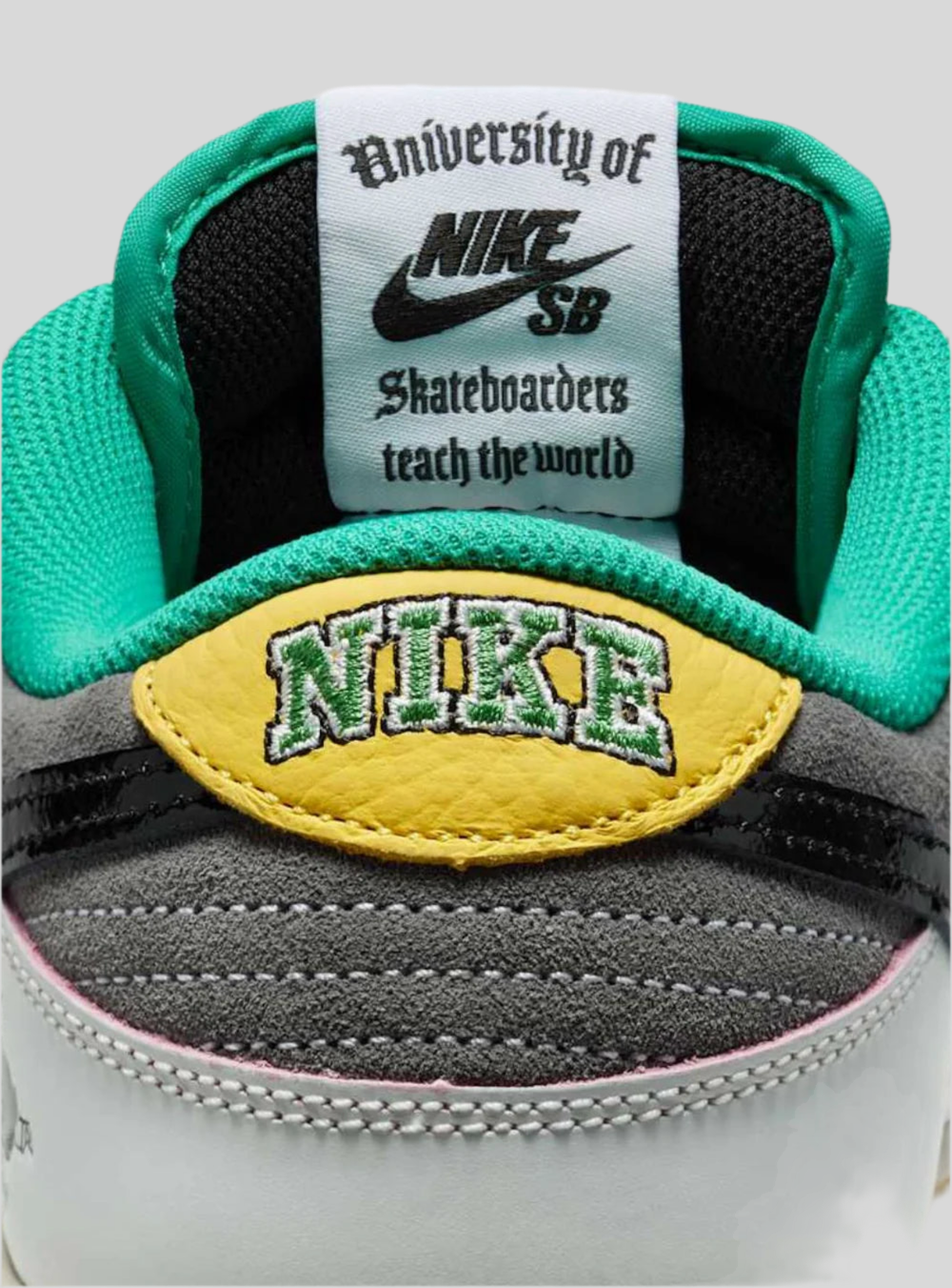Nike Dunk Low Sb CSEF