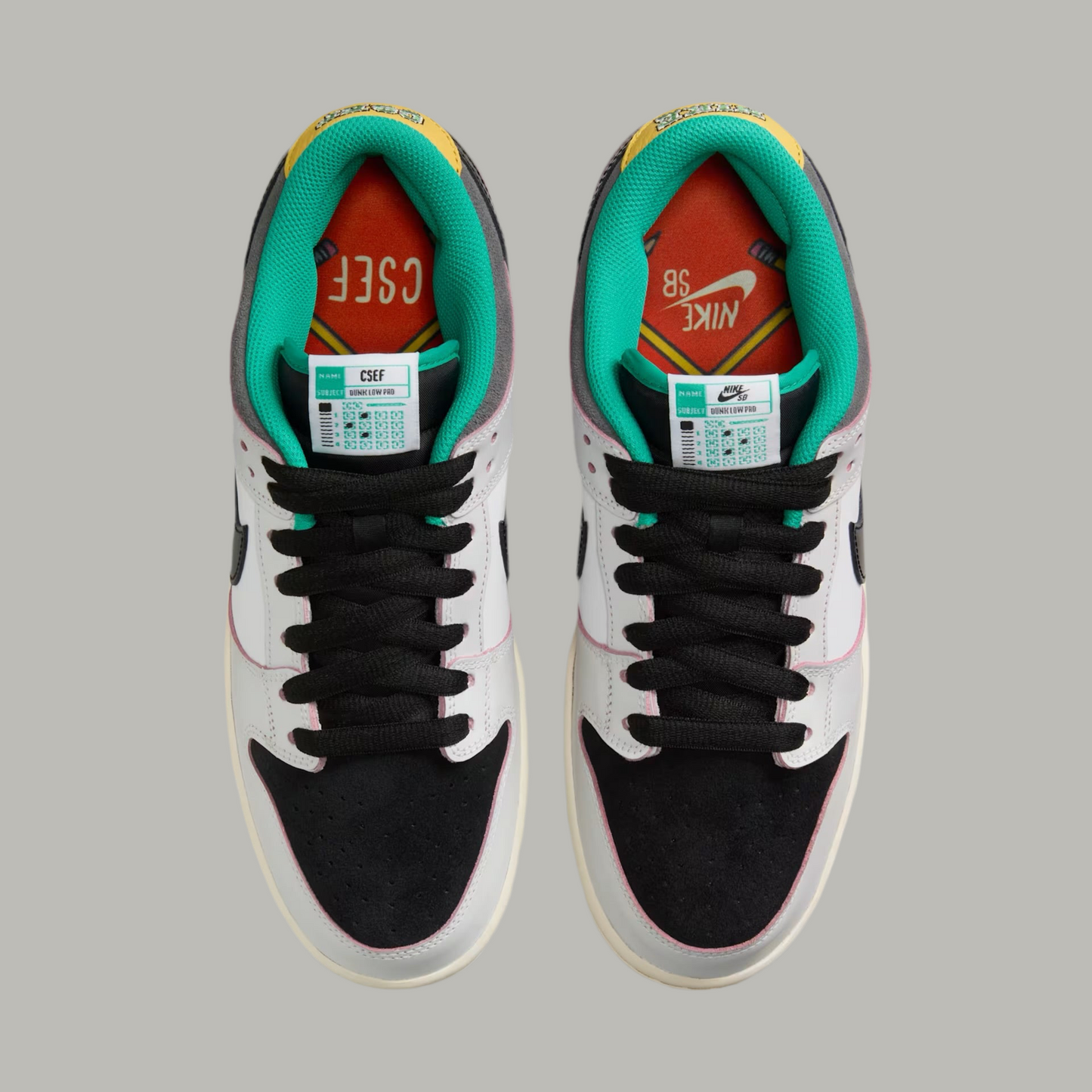 Nike Dunk Low Sb CSEF