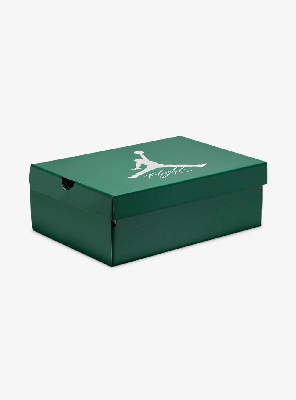 Air Jordan 4 Oxidized Green