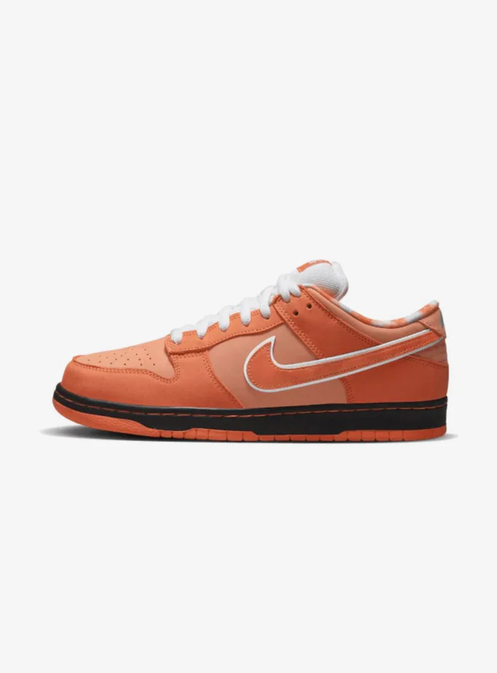 Nike SB Dunk Low Concepts “Orange Lobster”