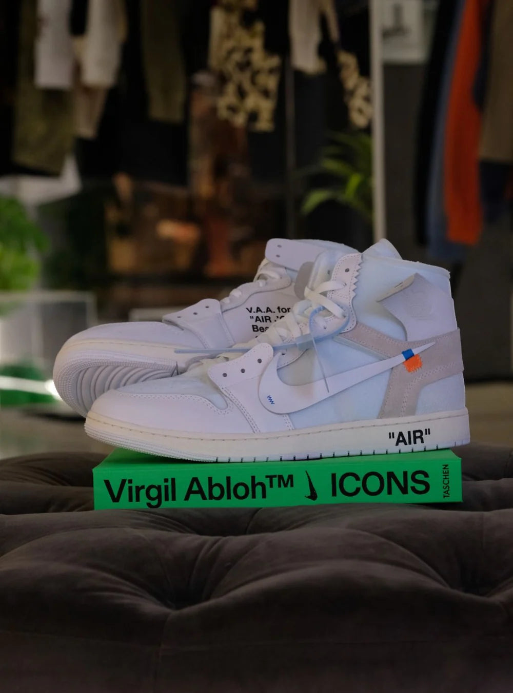 Dettaglio Air Jordan 1 Alaska
