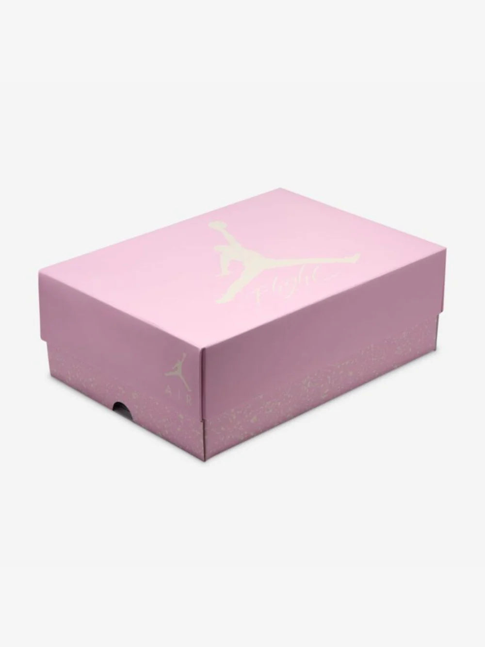 Dettaglio box Air Jordan 4 Retro Iced Carmine