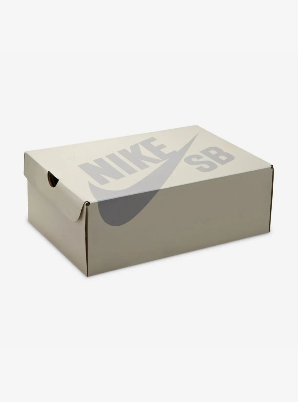Dettaglio Scatola Chiusa Nike SB Dunk Bluetile Skateboards